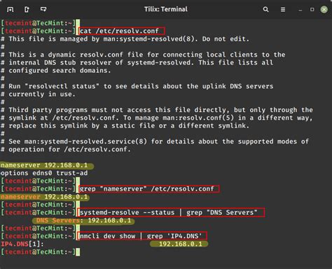 check dns linux.